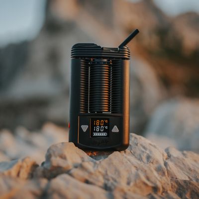 Buy Storz & Bickel Mighty+ (Plus) Vaporizer: Portable Herb Vaporizers from  Shiva Online