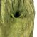 Image 5 of Shayma Green Stonewash Cotton Trousers