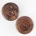 Image 1 of Darkwood Grinder